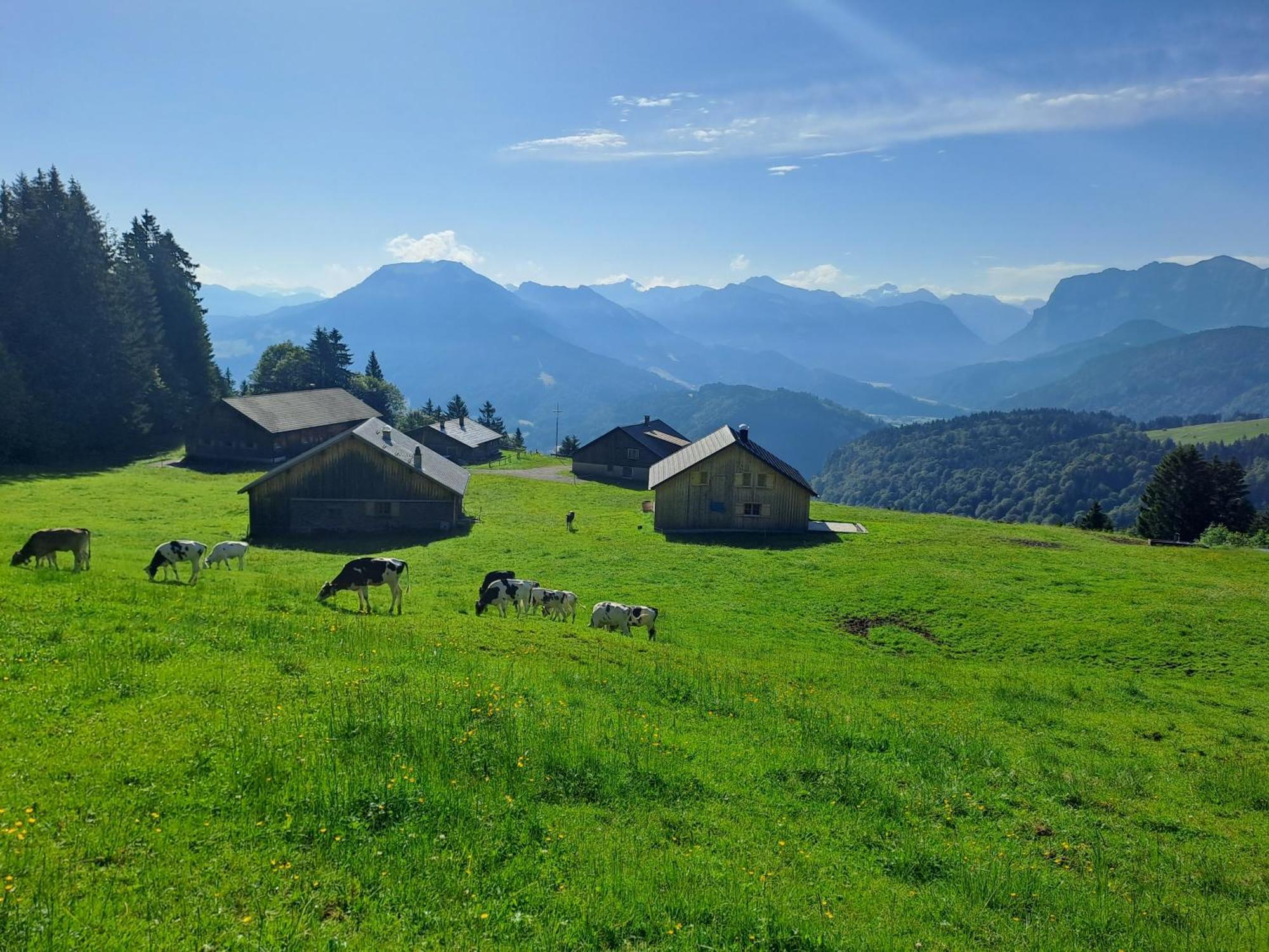 Neu Auszeit985 - Auszeit Mit Ausblick Leilighet Schwarzenberg im Bregenzerwald Eksteriør bilde